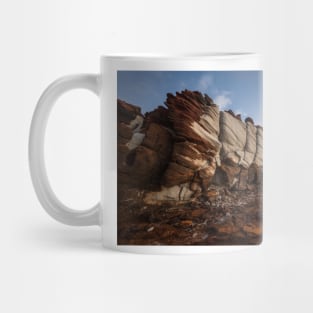 Caterpillar Rock Mug